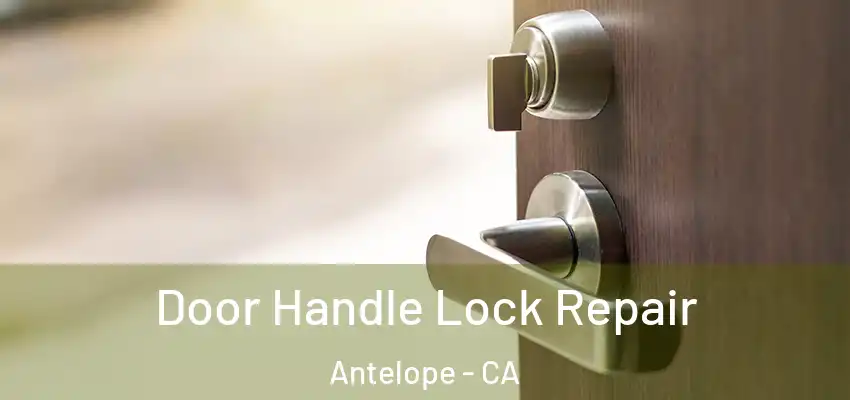  Door Handle Lock Repair Antelope - CA